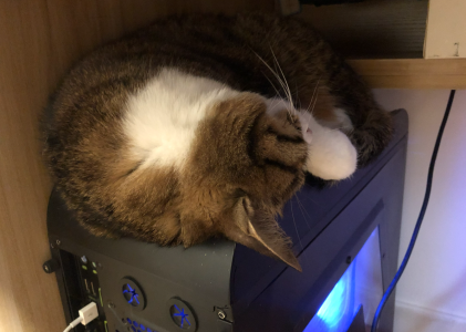 小九喜欢的呆的地方之一 —— 机箱